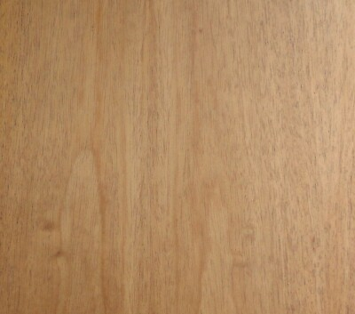 #ad Mahogany African wood veneer 48quot; x 96quot; with paper backer 4#x27; x 8#x27; x 1 40quot; A grade $90.00