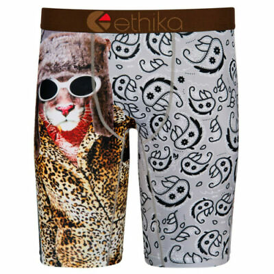 #ad ETHIKA STAPLE Cloud 9 LONG BOXERS UNDERWEAR BRIEFS SMALL 28 30W MENS PAISLEY S $16.00