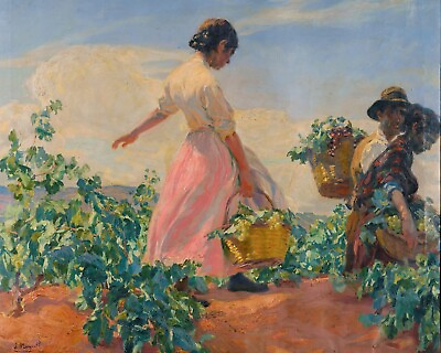 #ad Woman in the Vineyard 32 x 40 in Rolled Canvas Art Print Grape Picking Home $79.00
