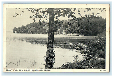 #ad c1940s Beautiful Gun Lake Hastings Michigan MI Middleville MI Postcard $6.47