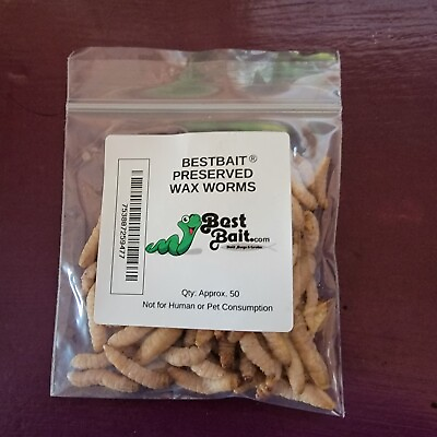 #ad Bestbait Preserved Waxworms Grubs 50 ct. per pack Natural Color wax worm $15.99