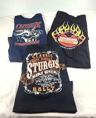 #ad Harley Davidson T Shirt Lot Quantity 3 Size 2X And 3X Never Worn $60.00