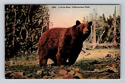 #ad Yellowstone National Park Park Bear Series #5474 Antique Vintage Postcard $6.99