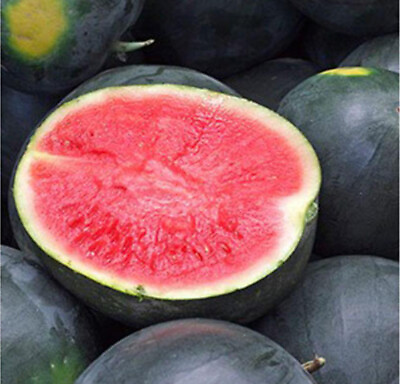 #ad 20Black Diamond Watermelon Seeds Average Fruit WT 30 50lbs USA $2.89