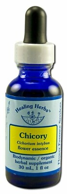 #ad Flower Essence Healing Herbs Organic Chicory Dropper 1 fl oz $19.44