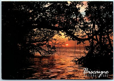 #ad Postcard Red Mangrove Biscayne National Park Florida $3.46