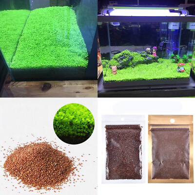 #ad Aquarium Plant Seeds Fish Tank Aquatic Water Grass Foreground Easy Plants 5g * $2.36