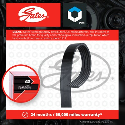 #ad 6 Rib Multi V Drive Belt fits DODGE STRATUS 2.4 95 to 01 EDZ Gates Quality New GBP 16.23