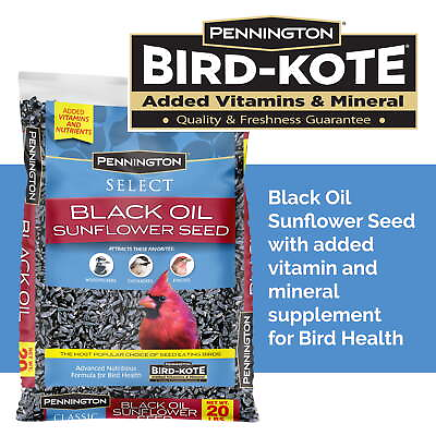 #ad Select Black Oil Sunflower Seed Dry Wild Bird Feed 20 Lb Bag 1 Pack $18.88