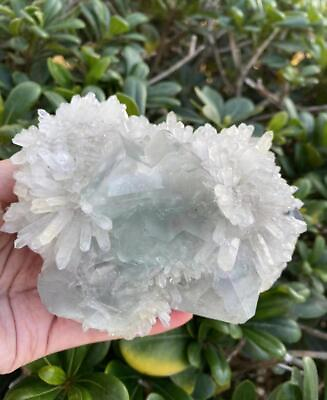 #ad Rare Sparkling Crystal Flower Clusters With Clear Triangular Fluorite Minerals $280.00