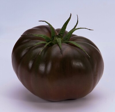 #ad 30Cherokee Purple Native American Heirloom Organic Tomato Free Shipping $3.50