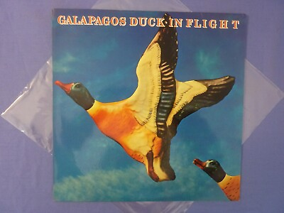 #ad Galapagos Duck In Flight 12quot; Vinyl LP 33rpm 1979 Philips Aus 6357 064 AU $15.95