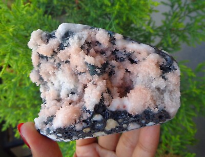 #ad Chalcedony Coral On Matrix Minerals Specimen #F43 $75.00