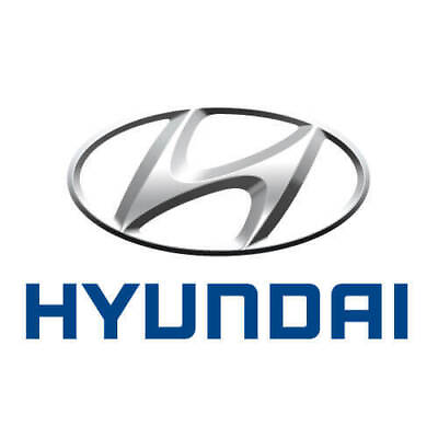 #ad Genuine Hyundai Roof Molding 87240 K5100 $134.24