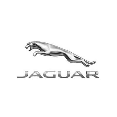 #ad Genuine Jaguar 2009 2015 XF Console Utility Rubber Floor Mat Set Front C2Z25387 $155.76
