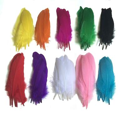 #ad Dxeud Colorful Goose Feathers 100pcs pack 10pcs X10colors 6 8 inch $18.43