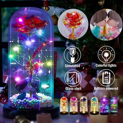 #ad LED Preserved Flowers Valentines Day Gifts Birthday for Women Rose in Glass Dome $10.99
