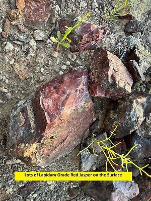 #ad Arizona Gem Gold Jasper Agate Mining Claim PC 6 by Quartzite Easy Pickin#x27;s $1950.00