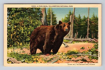 #ad Yellowstone National Park Park Bear Antique Vintage Postcard $7.99
