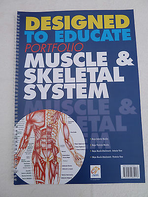 #ad Human Body Anatomy Education Books Set of Four A3 Size GBP 44.99