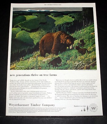 #ad 1952 OLD MAGAZINE PRINT AD WEYERHAEUSER TIMBER GENERATIONS OF ANIMALS THRIVE $12.99