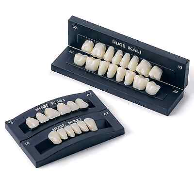 #ad JMU Dental Acrylic Resin Denture Teeth A2 T8 Full Set False Teeth Upper Lower $12.59