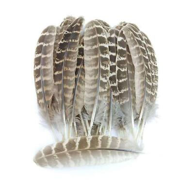 #ad 100pcs Natural Pheasant Feathers Natural Turkey Feathers $13.72