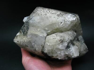 #ad Enormous Phenakite Phenacite Crystal From Brazil 2260 Grams 6.8quot; $8888.88