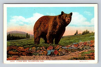 #ad Yellowstone National Park Park Bear #13053 Antique Vintage Souvenir Postcard $7.99