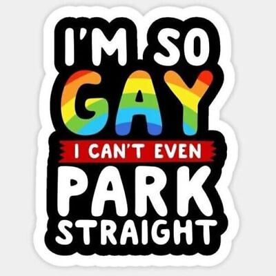 #ad Funny LGBTQ Stickers so gay cant park straight $4.88